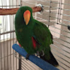 Meet your Posher, Beth